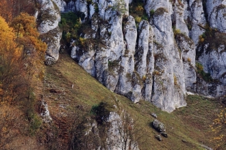 wystawa Ojców